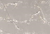 Ice of Genesis - Ice White