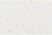 Petra - White Stone / Petra Botticino