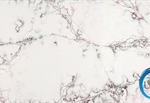 Ice of Genesis - Ice Viola